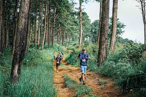 BIB: 
                            <button type="button" onclick="openModal(25658941)" class="btn btn-primary btn-sm float-right btn-popup" data-toggle="modal" data-target=".modal-high-quality">
                        <i class="fas fa-shopping-cart"></i> Add to Cart
                    </button>
                                            <button type="button" onclick="isThisMe(25658941, true)" class="btn btn-success btn-sm float-right btn-popup btn-isme hidden" data-toggle="tooltip" data-placement="bottom" title="นี่คือรูปของคุณใช่ไหม คลิกที่นี่เพื่อเอาเข้าอัลบั้ม">
                        <i class="fas fa-plus"></i> Add to album
                    </button>
                    <button type="button" onclick="isThisMe(25658941, false)" class="btn btn-warning btn-sm float-right btn-popup btn-isnotme hidden">
                        <i class="fas fa-ban"></i> Remove from album
                    </button>